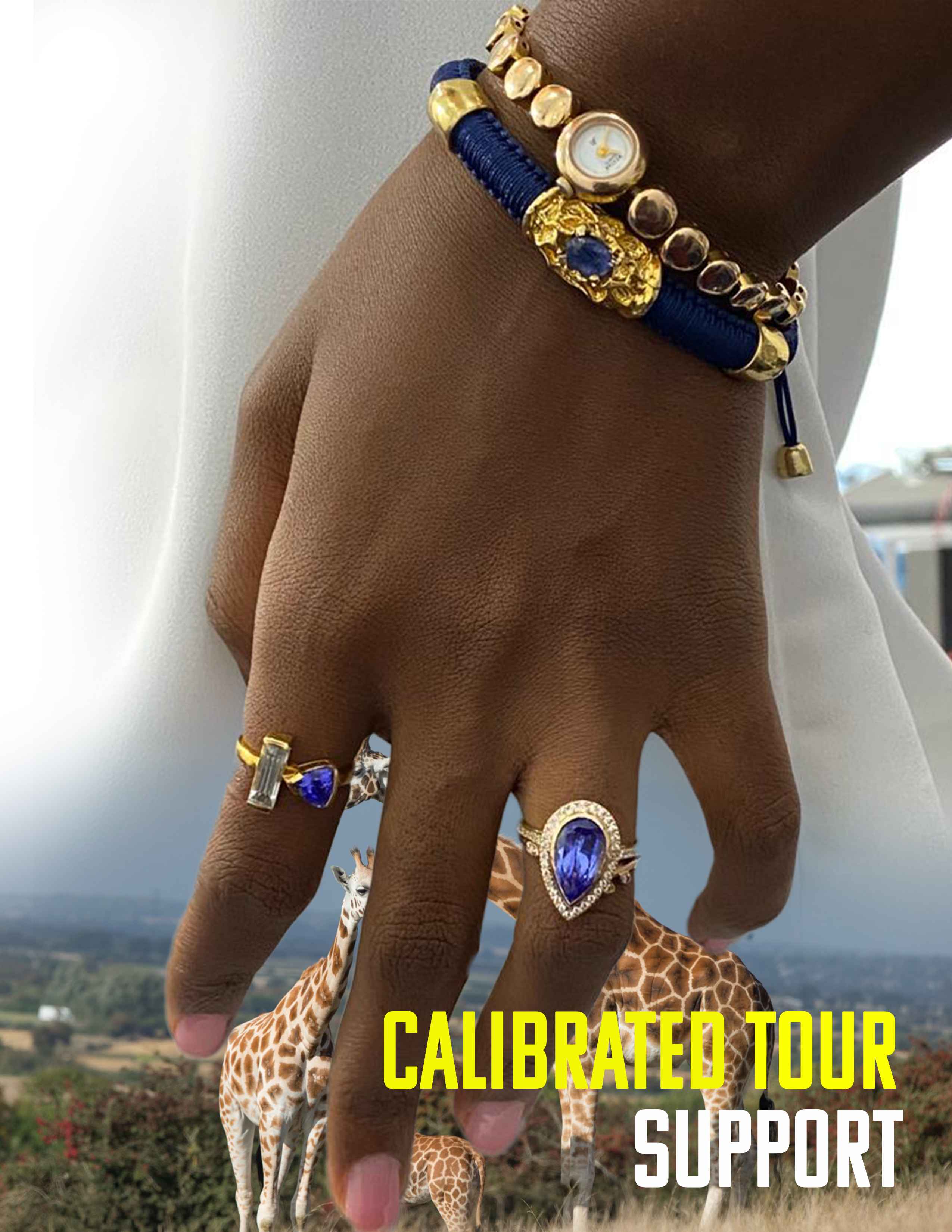 Brand Campaign